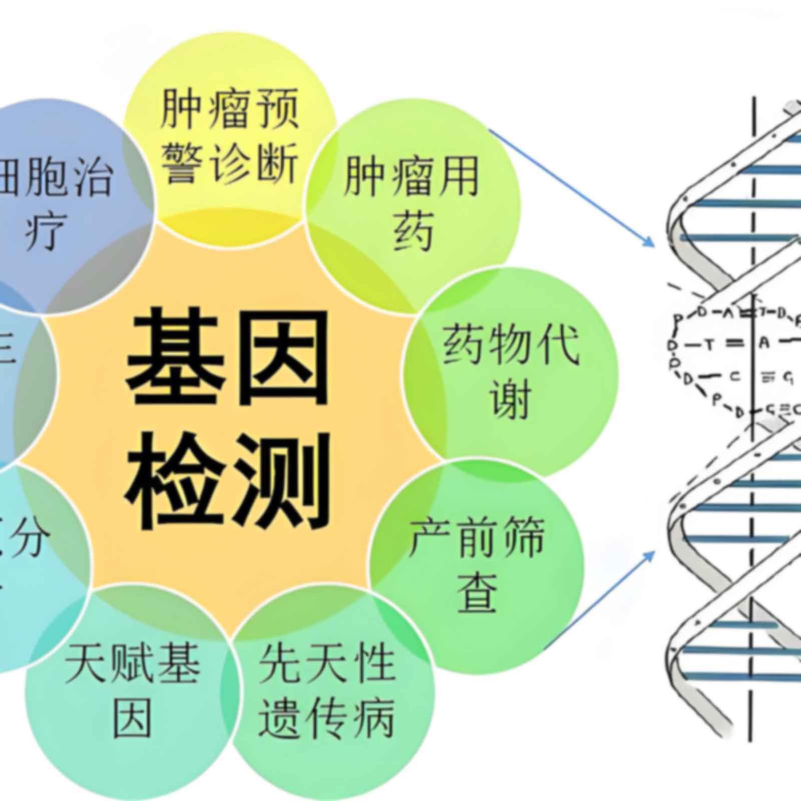 南宁隐私亲子鉴定需要什么材料