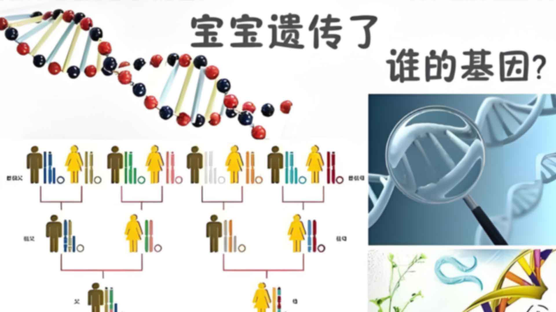 南宁上户口亲子鉴定需要什么材料